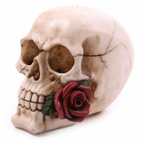 Skull with Rose