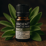 Sage Essential Oil 10 ml - SHAMTAM.COM