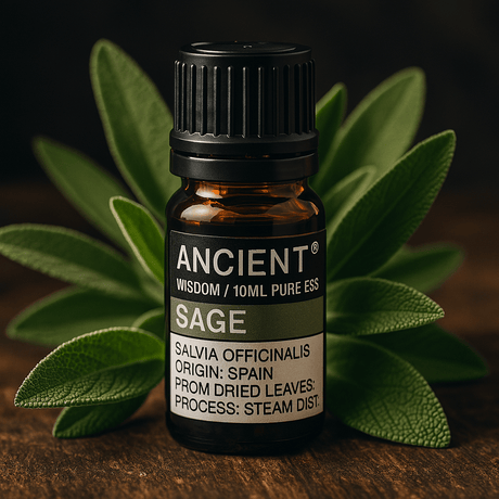 Sage Essential Oil 10 ml - SHAMTAM.COM