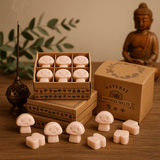 Sandalwood Wax Melts Box - Dark - SHAMTAM.COM