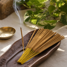 Satya Incense 15gm - Coconut — styled in a warm, naturally lit interior