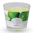 Apple Scented Candle - SHAMTAM.COM