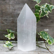 Selenite Pencil Point Tower - 15 cm - SHAMTAM.COM