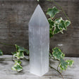 Selenite Pencil Point Tower - 20 cm - SHAMTAM.COM