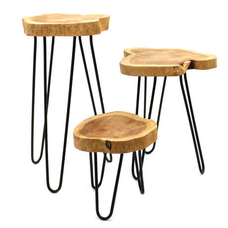 Set of 3 Gamal Wood Plant Stands - Natural - SHAMTAM.COM