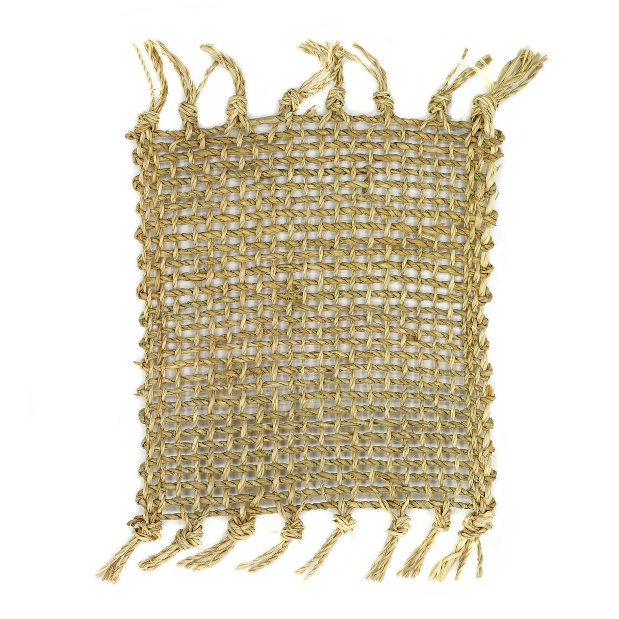 Set of 4 Seagrass Fringe Natural Coasters - Natural - SHAMTAM.COM