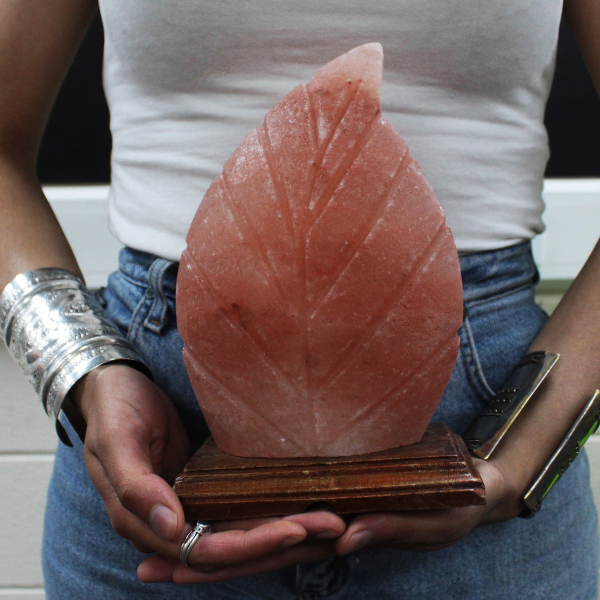 Himalayan Salt Lamp - Fern - SHAMTAM.COM