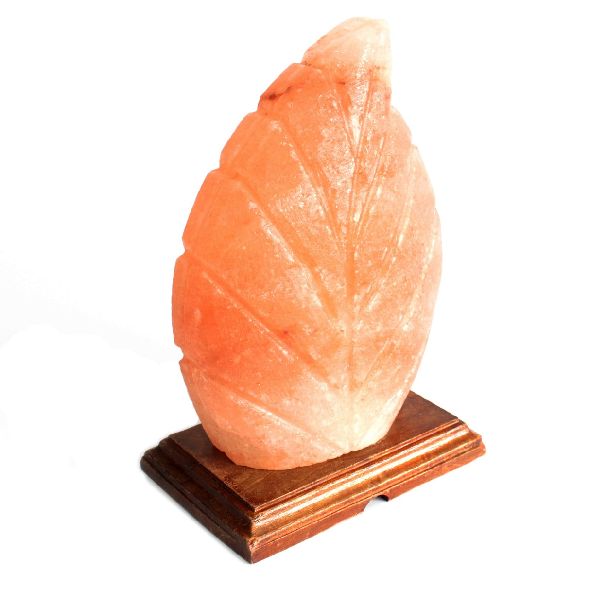 Himalayan Salt Lamp - Fern - SHAMTAM.COM