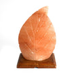 Himalayan Salt Lamp - Fern - SHAMTAM.COM