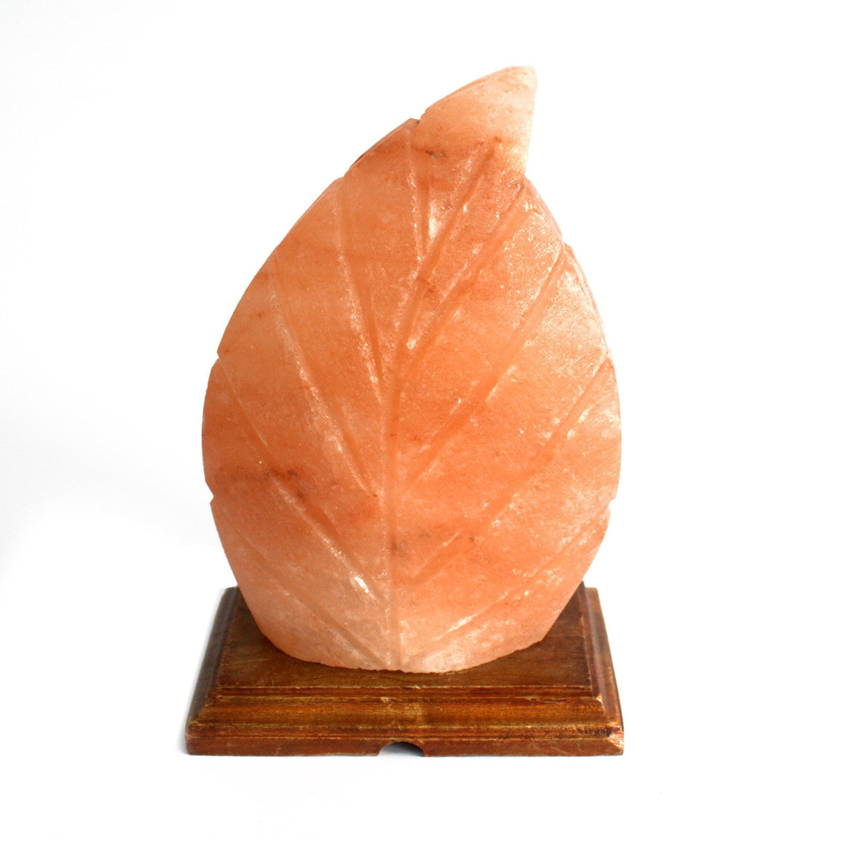 Himalayan Salt Lamp - Fern - SHAMTAM.COM