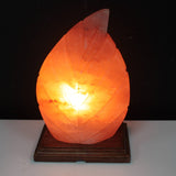 Himalayan Salt Lamp - Fern - SHAMTAM.COM