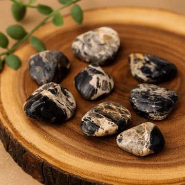 Silverleaf Jasper Tumbled Stones Extra Large 18-Piece