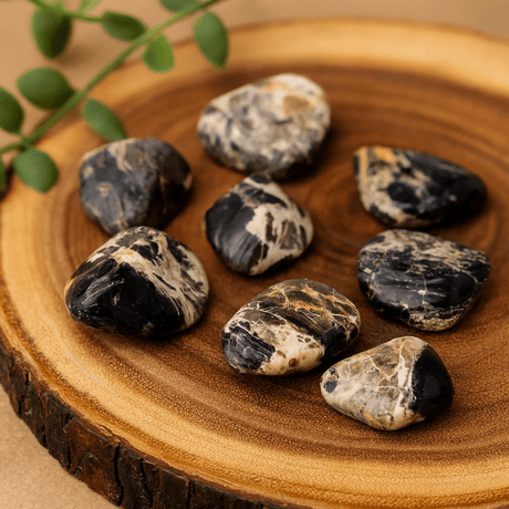 Silverleaf Jasper Tumbled Stones Extra Large 18 - Piece - SHAMTAM.COM