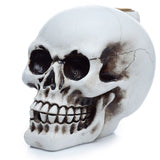 Skull Backflow Incense Burner - SHAMTAM.COM