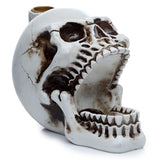 Skull with Open Mouth Backflow Incense Burner - SHAMTAM.COM