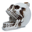 Skull with Open Mouth Backflow Incense Burner - SHAMTAM.COM