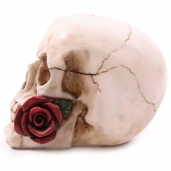 Skull with Rose - SHAMTAM.COM
