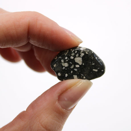 Guinea Fowl Tumbled Stones African - SHAMTAM.COM