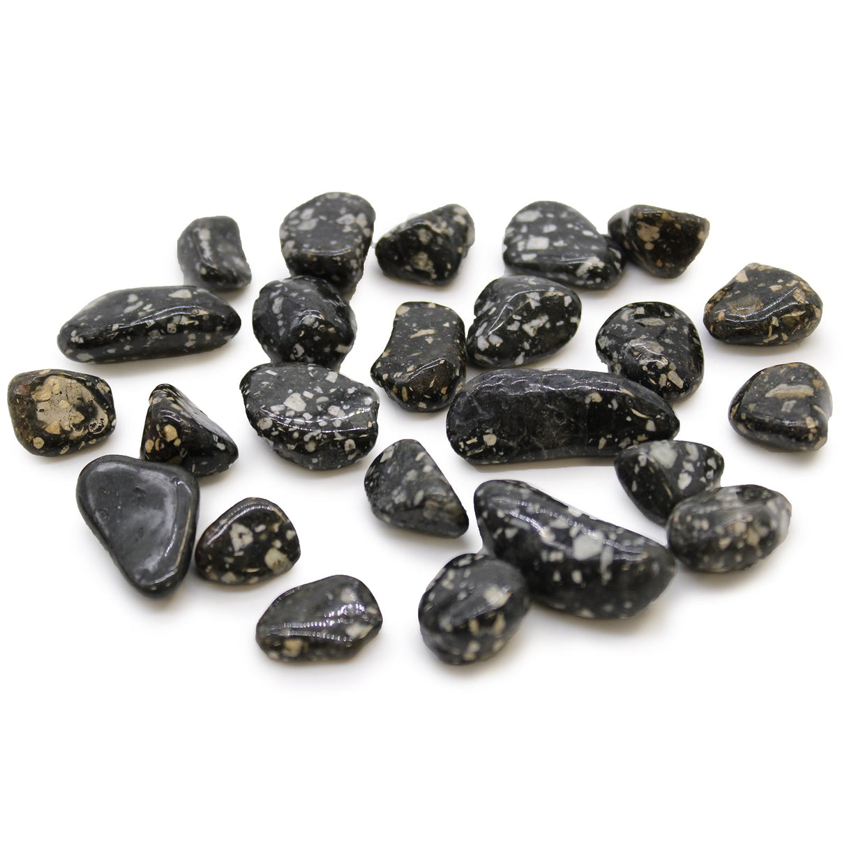 Guinea Fowl Tumbled Stones African - SHAMTAM.COM