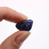 Pure Blue Sodalite Tumbled Stones African - SHAMTAM.COM