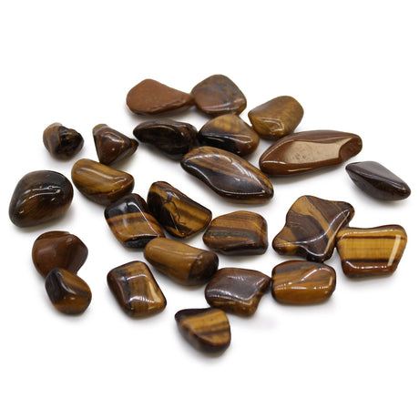 Tigers Eye Tumbled Stones African - SHAMTAM.COM