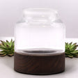 Small Shaped Terarium on Dark Tung Wood - SHAMTAM.COM