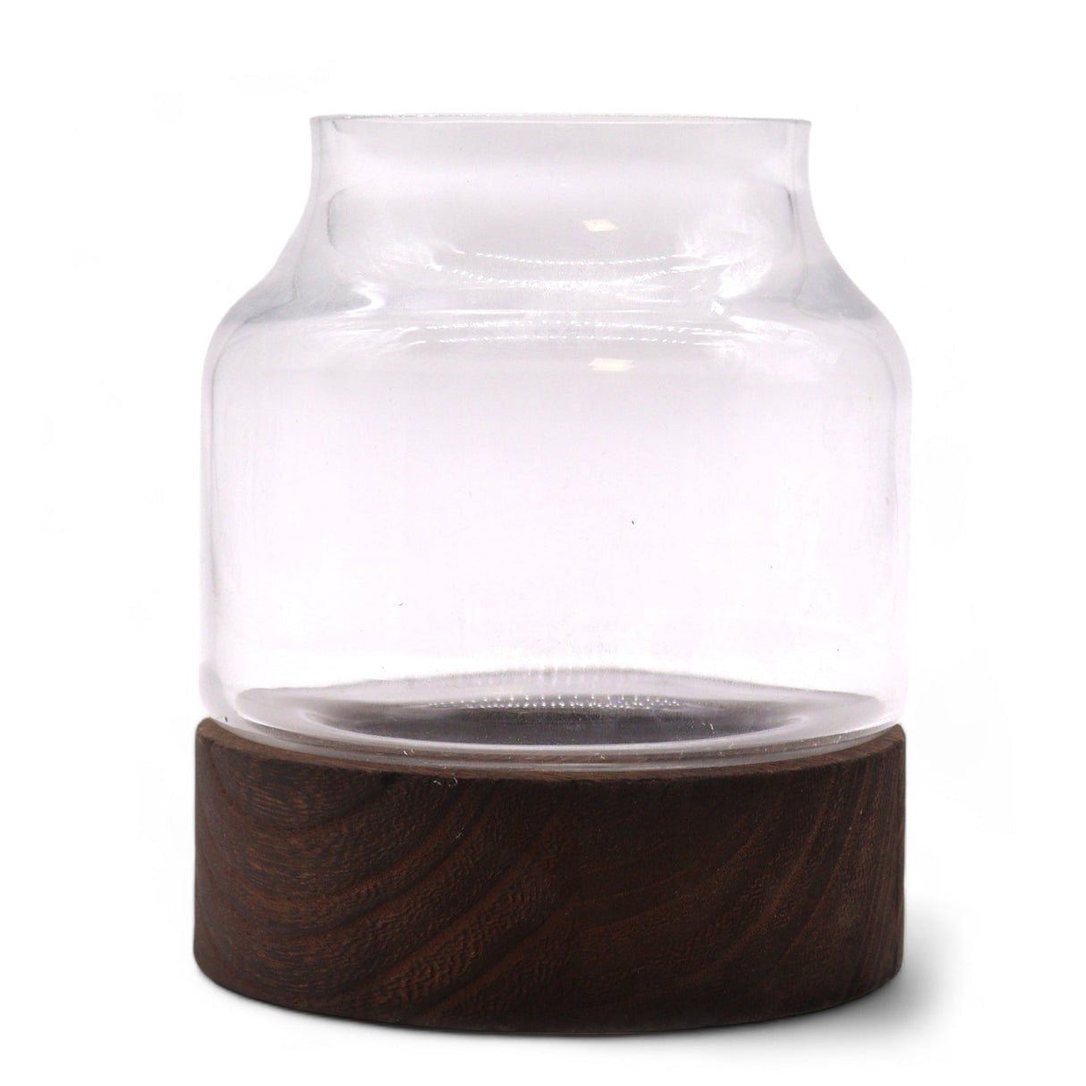 Small Shaped Terarium on Dark Tung Wood - SHAMTAM.COM