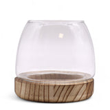 Small Terarium on Natural Tung Wood - SHAMTAM.COM