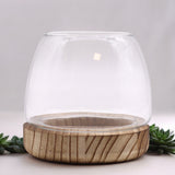 Small Terarium on Natural Tung Wood - SHAMTAM.COM