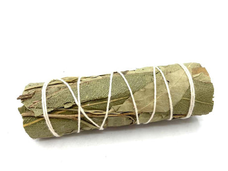 White Sage & Eucalyptus Smudge Stick 10 cm - SHAMTAM.COM