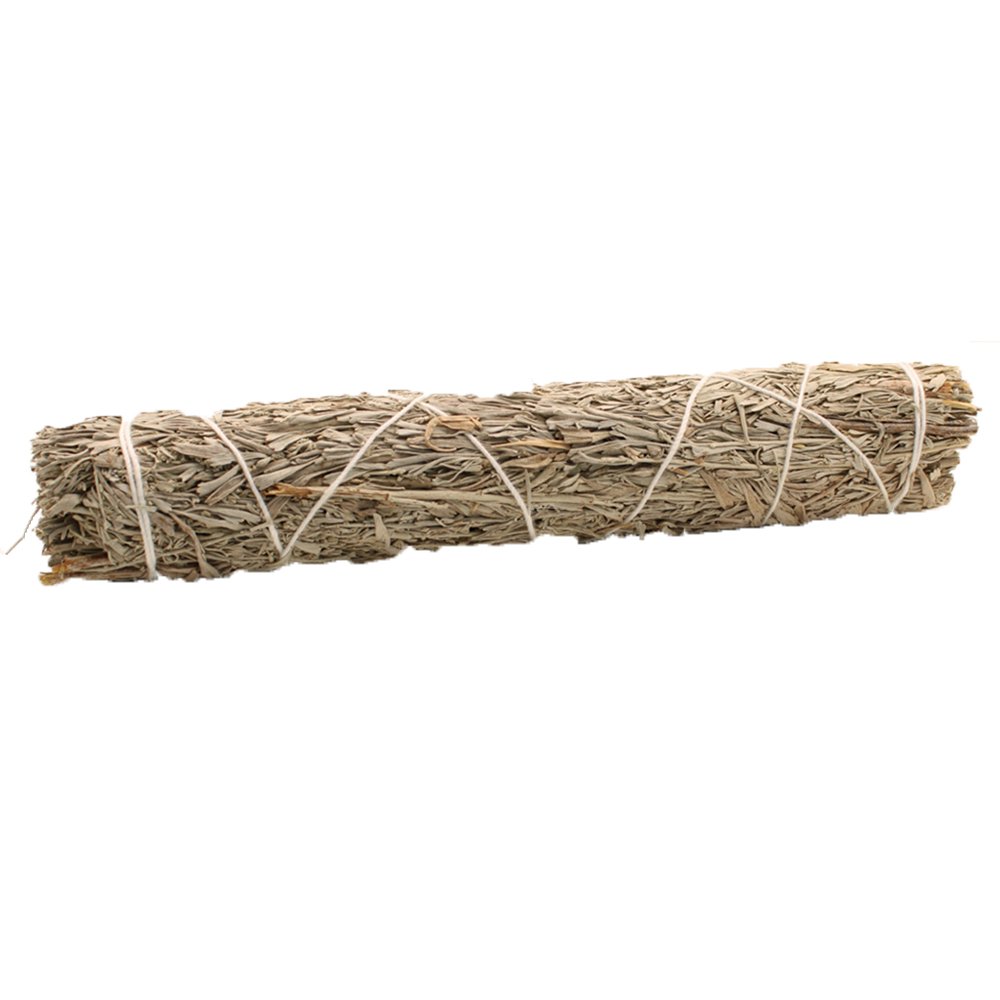 Blue Sage Smudge Stick 22.5 cm - SHAMTAM.COM