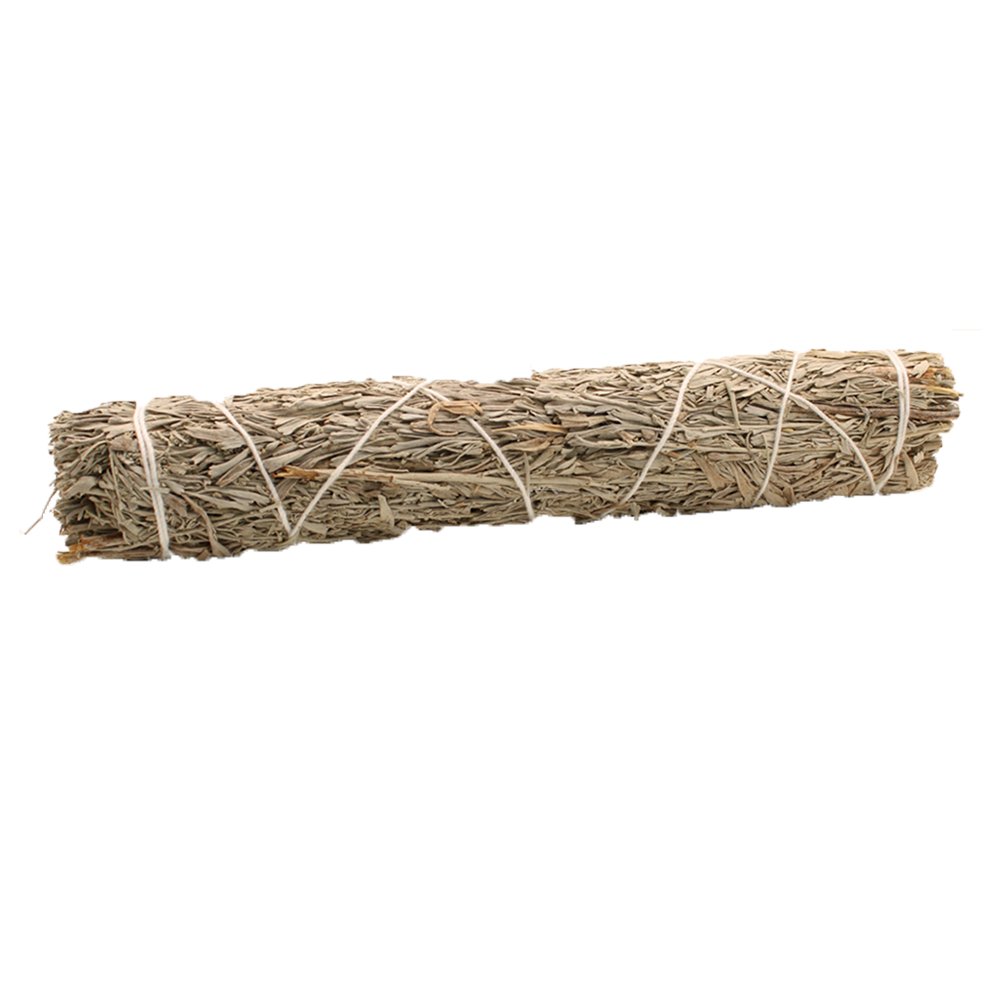 Blue Sage Smudge Stick 22.5 cm - SHAMTAM.COM