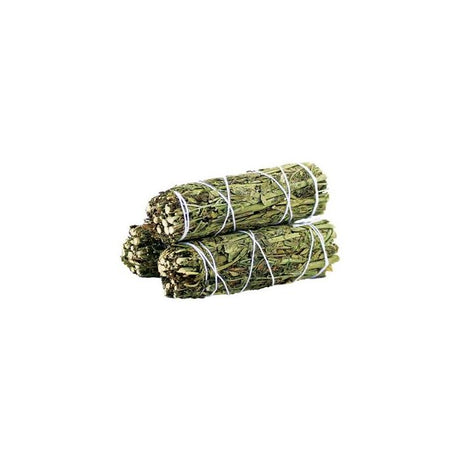 Ruda Rue Sage Smudge Stick 10cm - SHAMTAM.COM