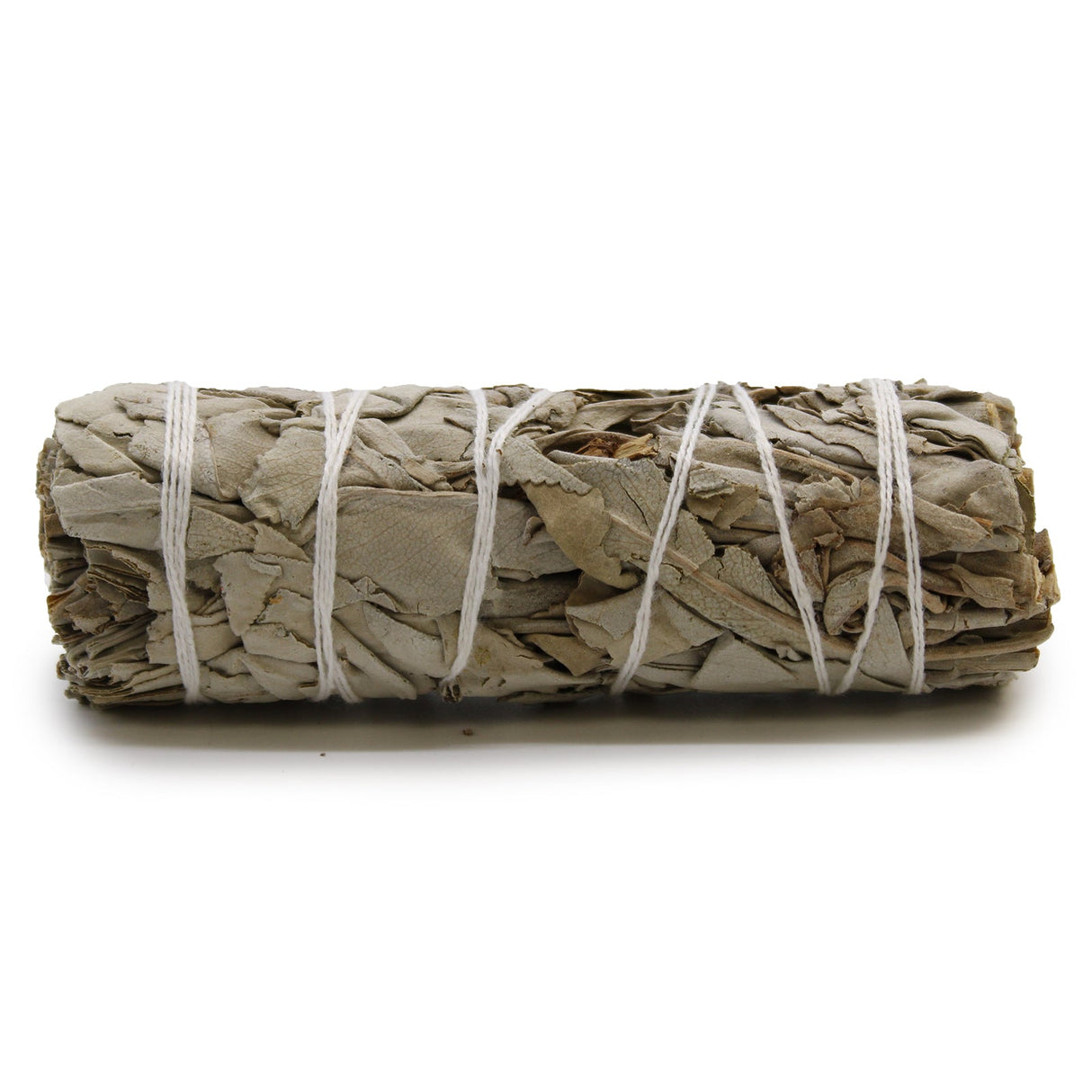 White Sage Smudge Stick 10cm - SHAMTAM.COM