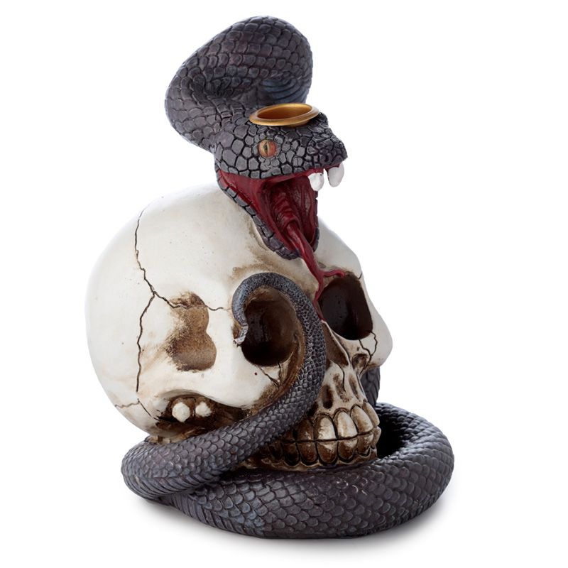 Snake and Skull Backflow Incense Burner - SHAMTAM.COM