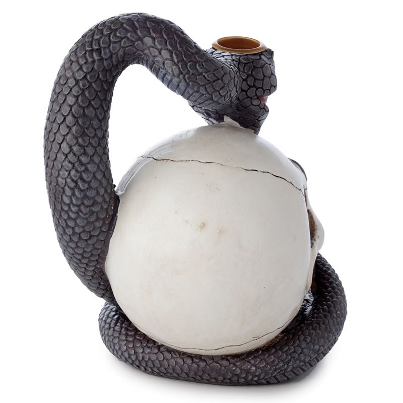 Snake and Skull Backflow Incense Burner - SHAMTAM.COM