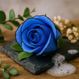 Soap Flowers Medium Rose Blue - Black Rim 10 Pieces - SHAMTAM.COM