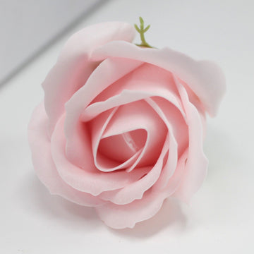 Sæbeblomster Medium Rose Pink, 10 Stykker