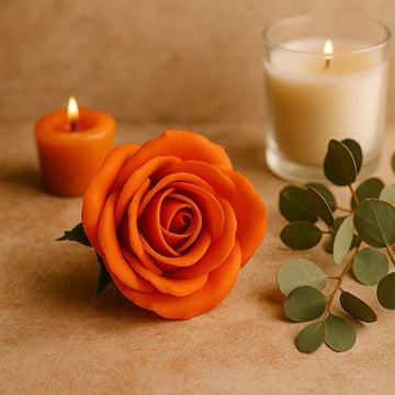 Sæbeblomster Medium Rose Sunset Orange, 10 Pakke