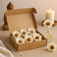 Sola Wood Diffuser Flowers Poppy On String 12 - Pack - SHAMTAM.COM