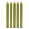 Taper Candles - Rustic Olive - Pack of 5 - SHAMTAM.COM