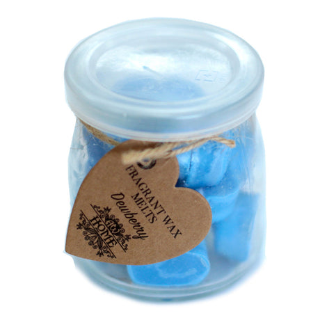 Soywax Melts Jar - Dewberry - SHAMTAM.COM