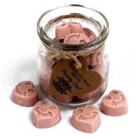 Wax Melts Jar - Peachy Cool - Soywax - SHAMTAM.COM