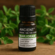 Marjoram Spanish Essential Oil 10 ml - SHAMTAM.COM