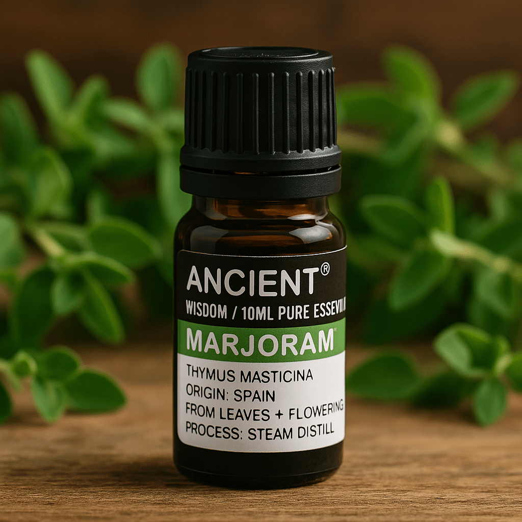 Marjoram Spanish Essential Oil 10 ml - SHAMTAM.COM