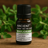 Marjoram Spanish Essential Oil 10 ml - SHAMTAM.COM