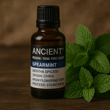 Spearmint æterisk olie dampdestilleret 50ml