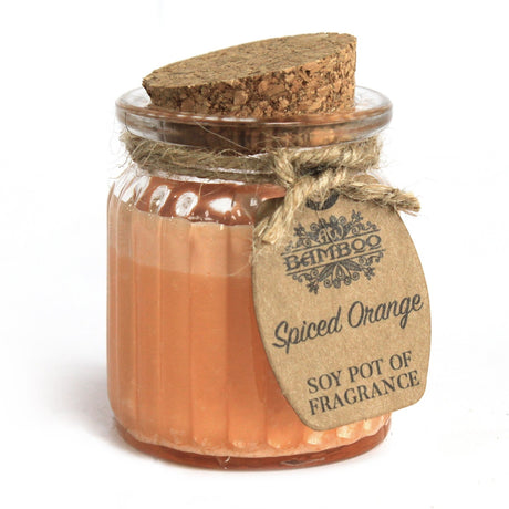 Spiced Orange Soy Pot of Fragrance Candles - SHAMTAM.COM