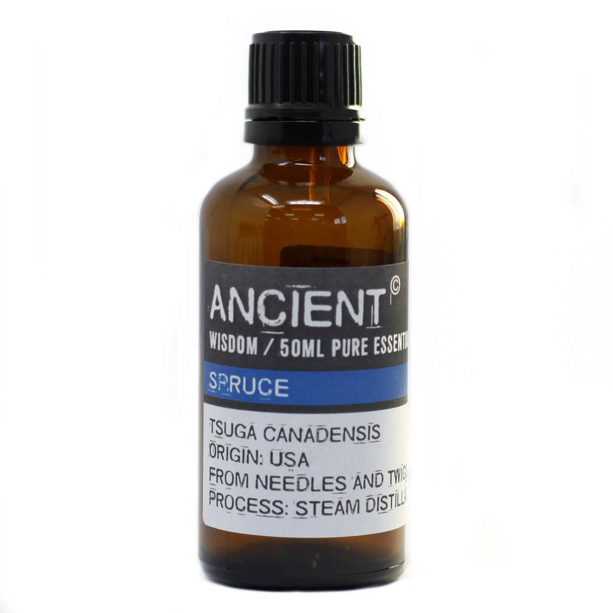 Spruce Essential Oil - 50ml Pure Aromatherapy Oil for Wellness - SHAMTAM.COM