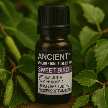 Sweet Birch Essential Oil Steam Distilled 10 ml